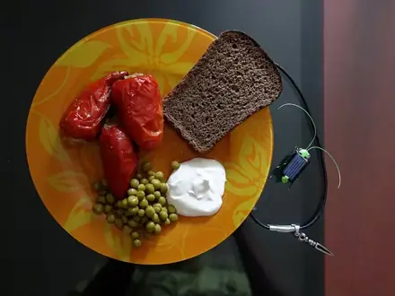 Фаршированные перцы